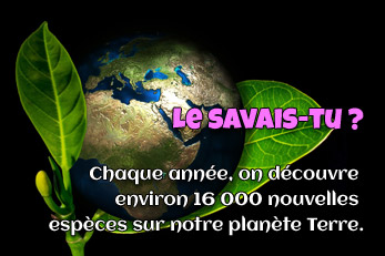 LE SAVAIS-TU ? : 16000 espèces nouvelles chaque année