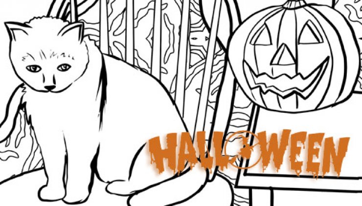 Le chat d&#039;Halloween